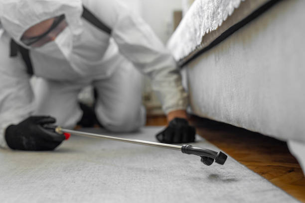 Professional Pest Control technician working in Culpeper County County, VA